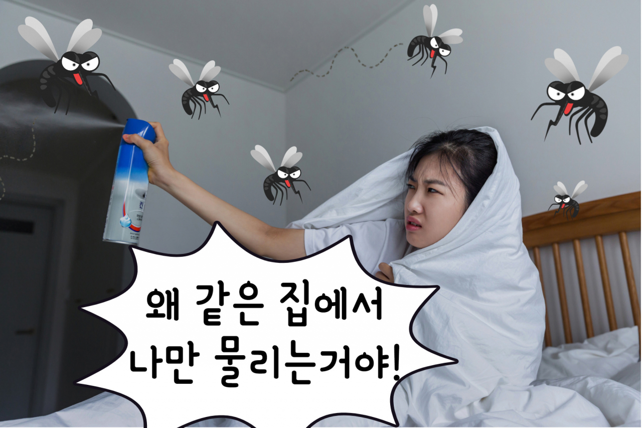 [망고보드]