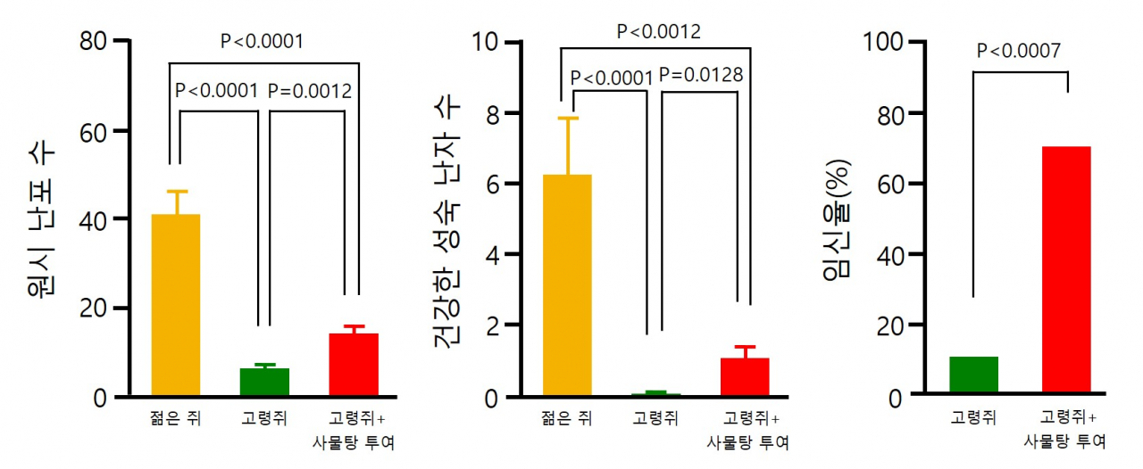 40주령의 고령마우스에 사물탕을 4주간 경구 투여한 군(고령쥐+사물탕 투여군)에서 (A) 원시 난포 수 감소가 억제됐고, (B) 채취된 건강한 난자 수가 증가했으며, (C) 임신율은 현저히 증가했다.[한국한의학연구원 제공]