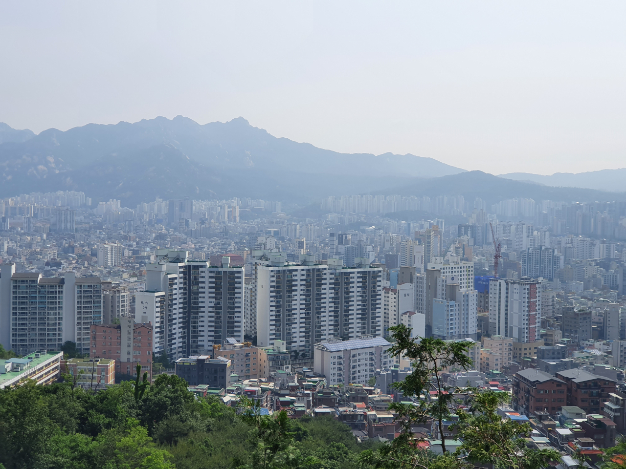 이젠 강북 10억 전세도 우습다…겹규제로 꼬여버린 임대차시장 [부동산360]