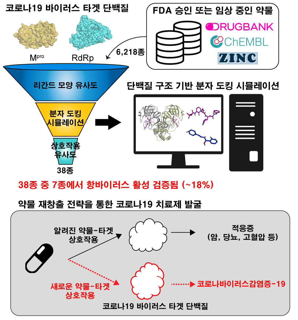 약물 가상 스크리닝 기술을 이용한 코로나19 치료제 개발 모식도. [KAIST 제공]