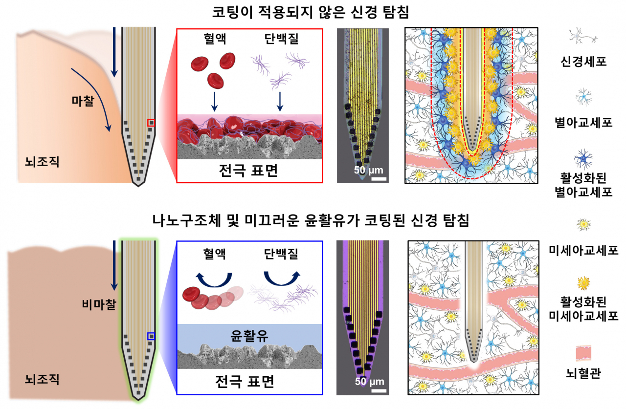 코팅이 적용되지 않은 신경 탐침(위)과 적용된 신경 탐침(아래)간에뇌조직과의 마찰 특성 및 생물 부착 특성 비교에 관한 개략도. [KIST 제공]