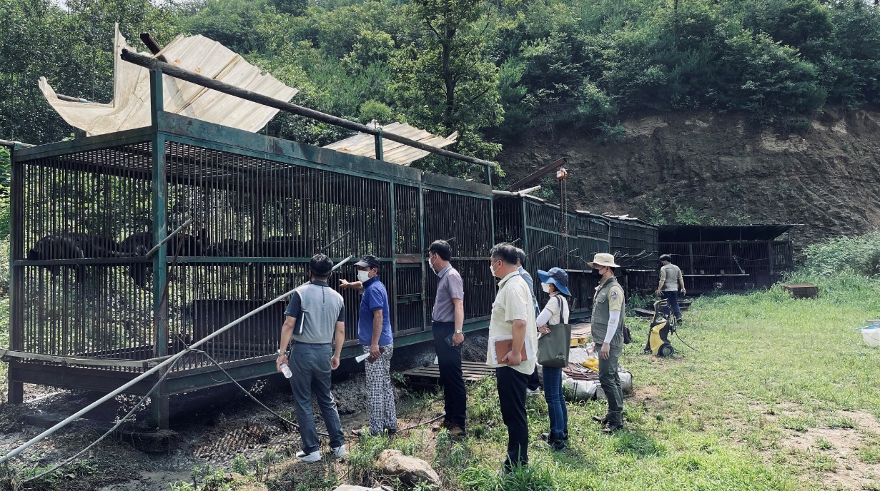 Officials inspect a bear farm in Yongin, South Korea, on Thursday in this photo provided by the Yongin city government. Two 3-year-old bears escaped from the farm two days earlier. (Yonhap)