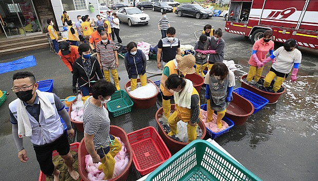 대한적십자사 광주전남지사가 전남 장흥군 대덕읍 덕촌마을에서 이불빨래 봉사를 하고 있다.