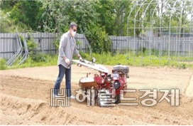 [서울시 제공]