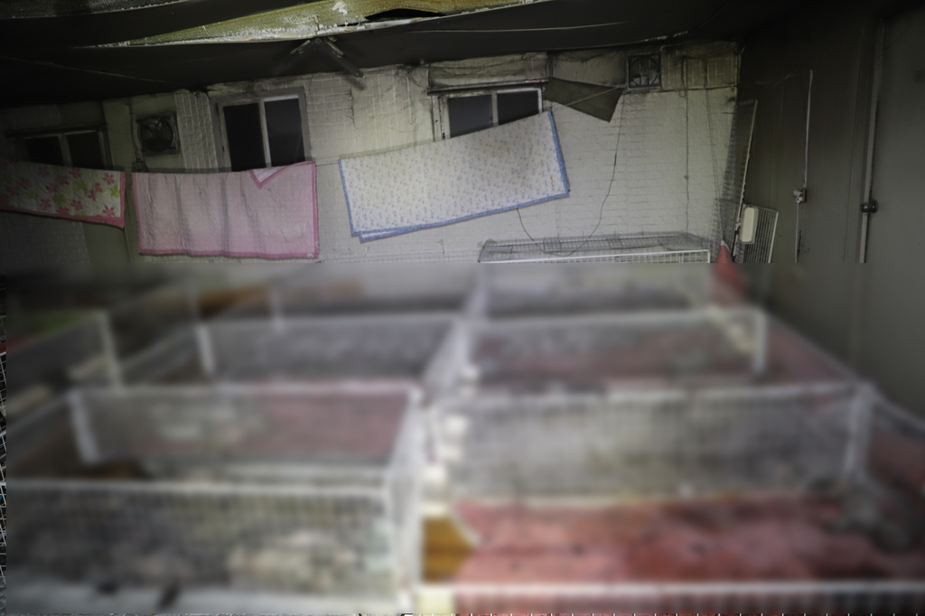 불 난 애견 사육 시설[전남 나주 소방서 제공]