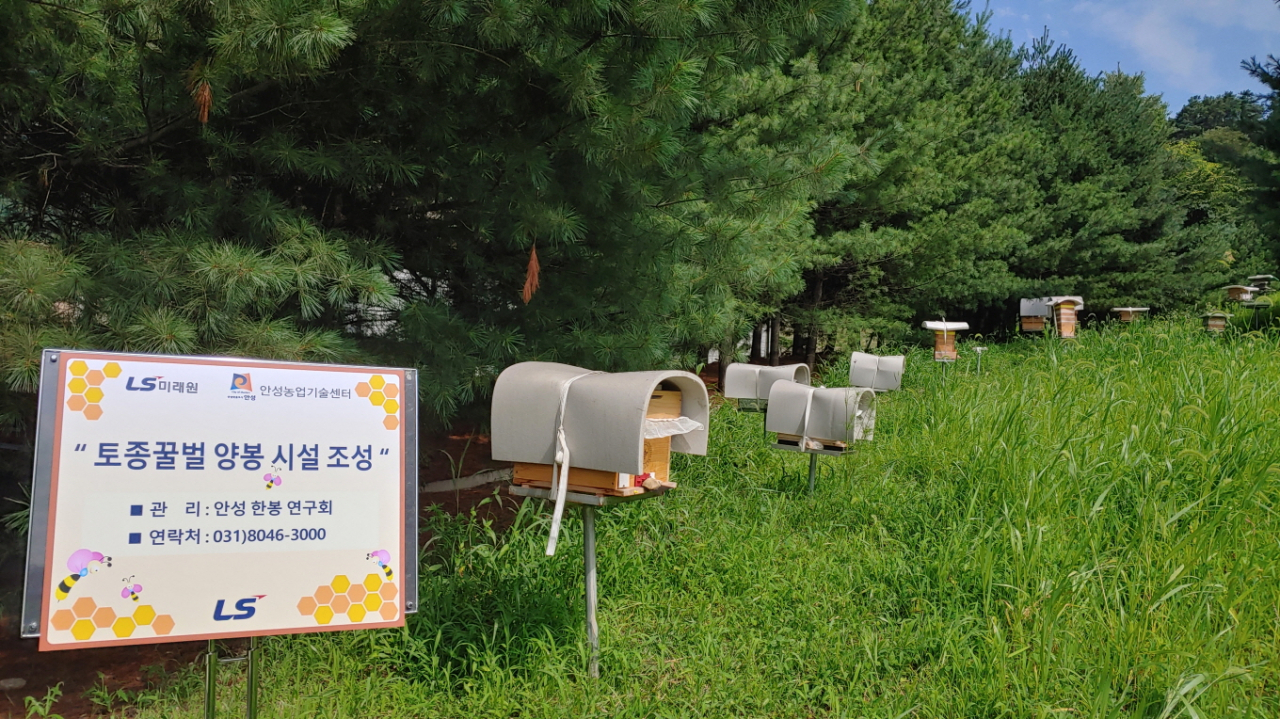 LS그룹 연수원인 경기 안성시 LS미래원 야외 정원에 설치된 토종꿀벌 양봉 시설.[LS 제공]