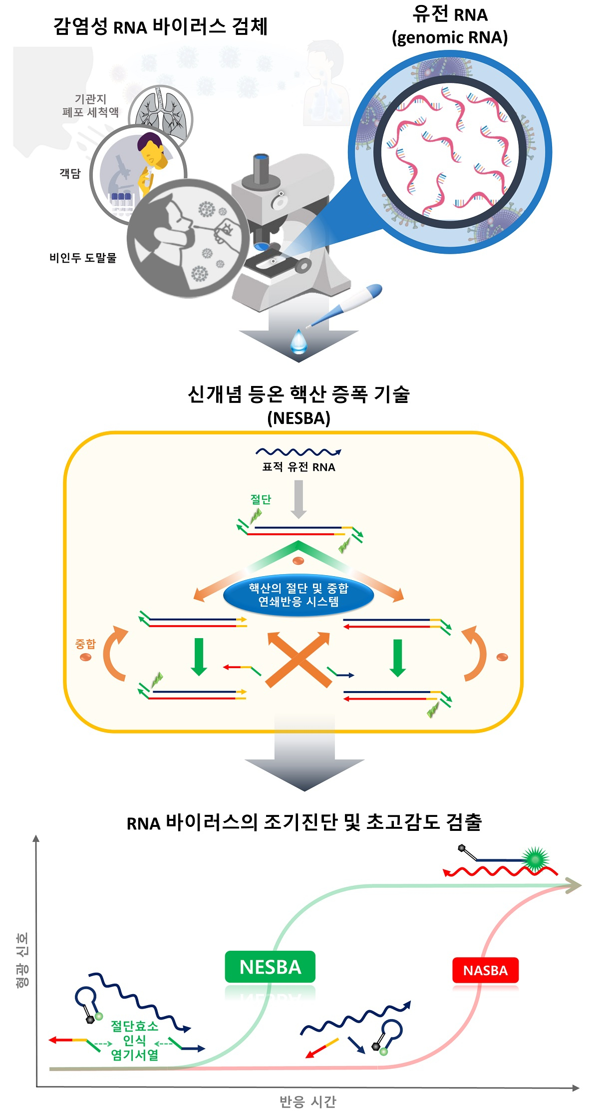 RNA 바이러스 초고감도 검출기술 모식도. [KAIST 제공]