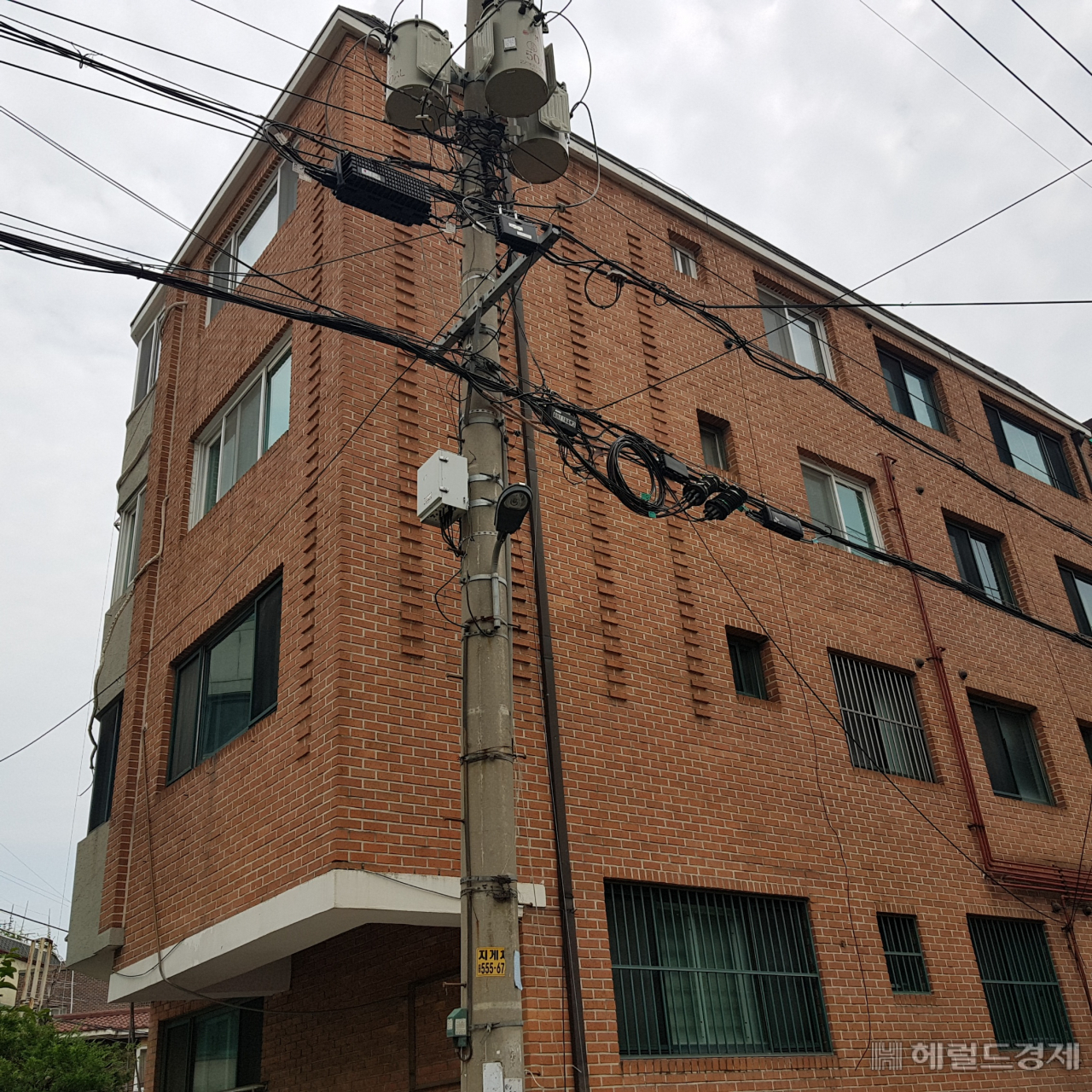 공중선 정비 후. [서초구 제공]