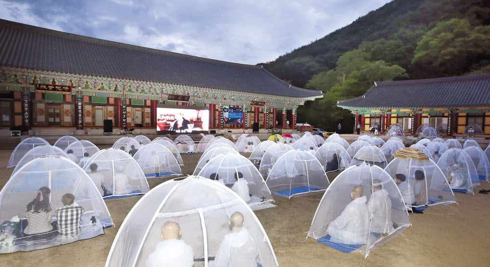 모기장 안에서 스크린으로 영상과 음악을 감상한 화엄사 ‘모기장 음악회’ 모습. [헤럴드DB]
