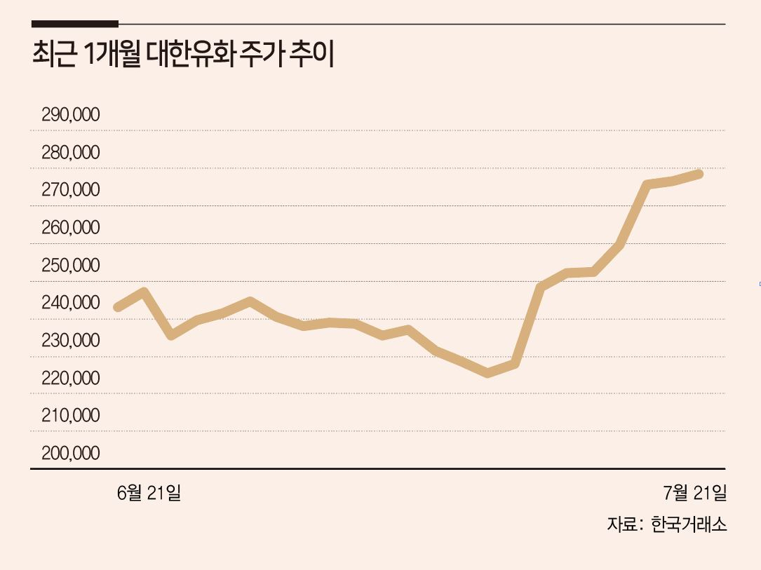 OPEC+發 유가 안정 기대감…석화株, 피크아웃 우려 떨쳐낸다 - 헤럴드경제