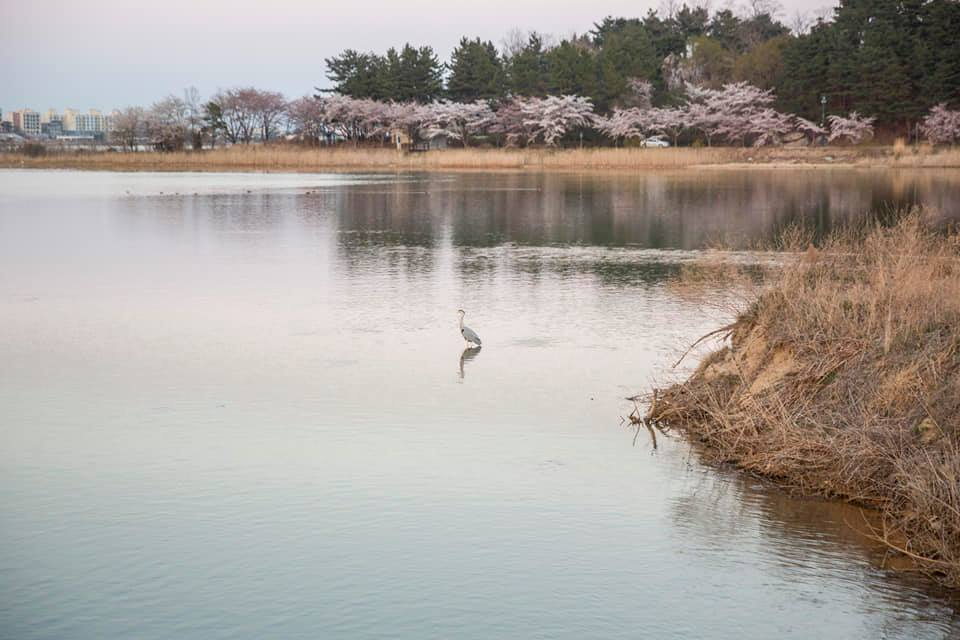 [주대하 도의원 페북 캡처]