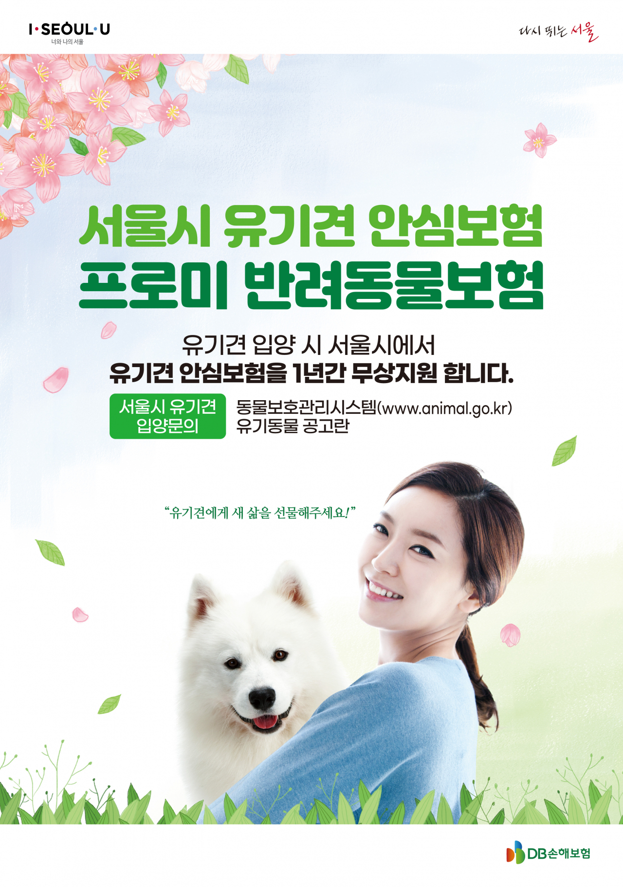 [DB손해보험 제공]