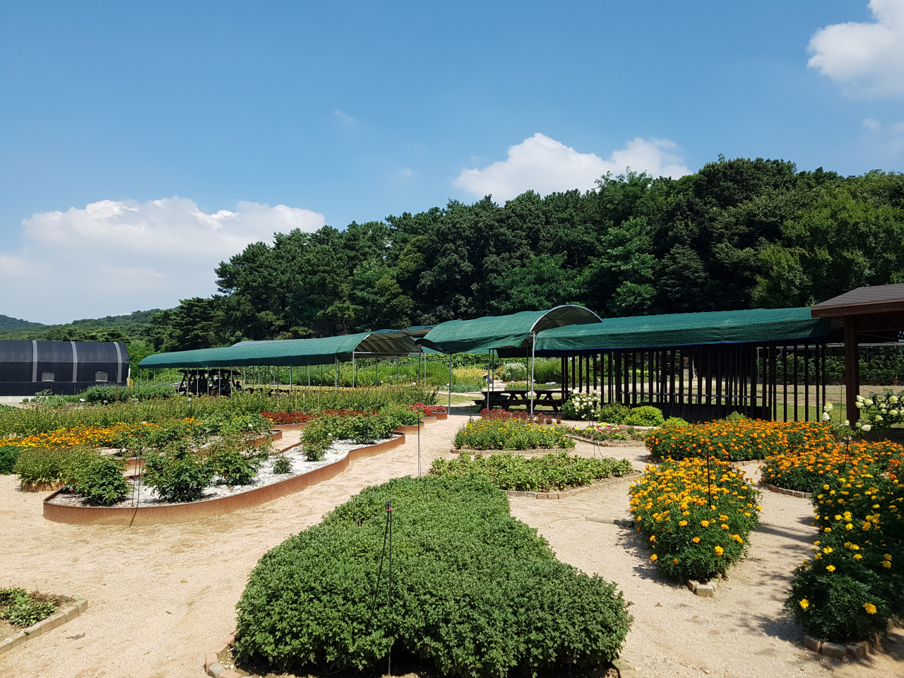 서울시농업기술센터. [서울시 제공]