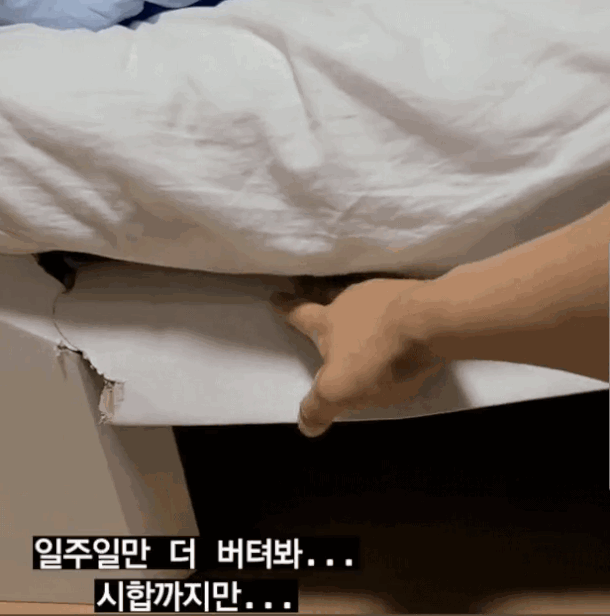 [진윤성 인스타그램 캡처]
