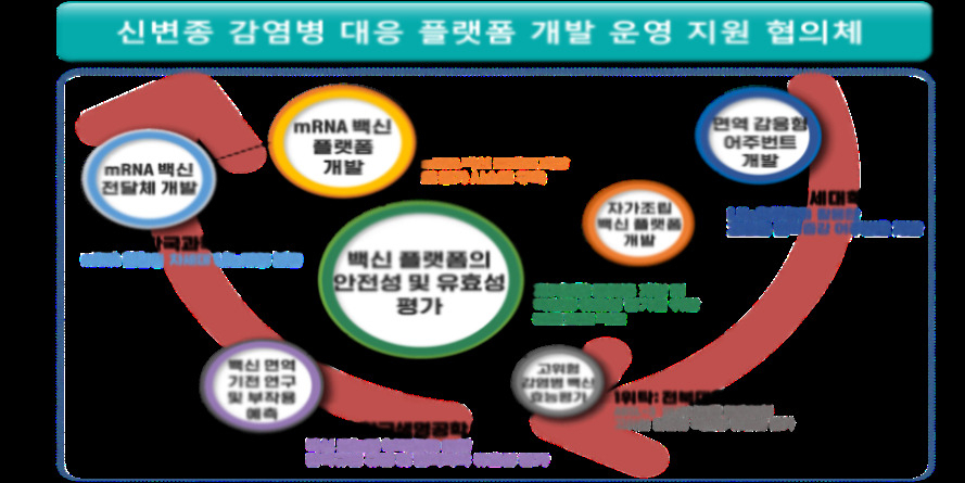 mRNA백신 플랫폼 구축 및 유효성 평가기술 연구체계.[과기정통부 제공]