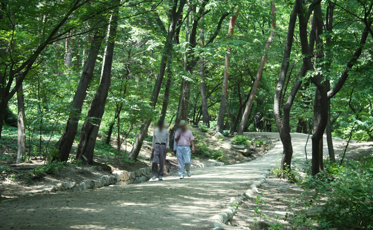 강남에 이런 곳이? 선정릉 산책로.