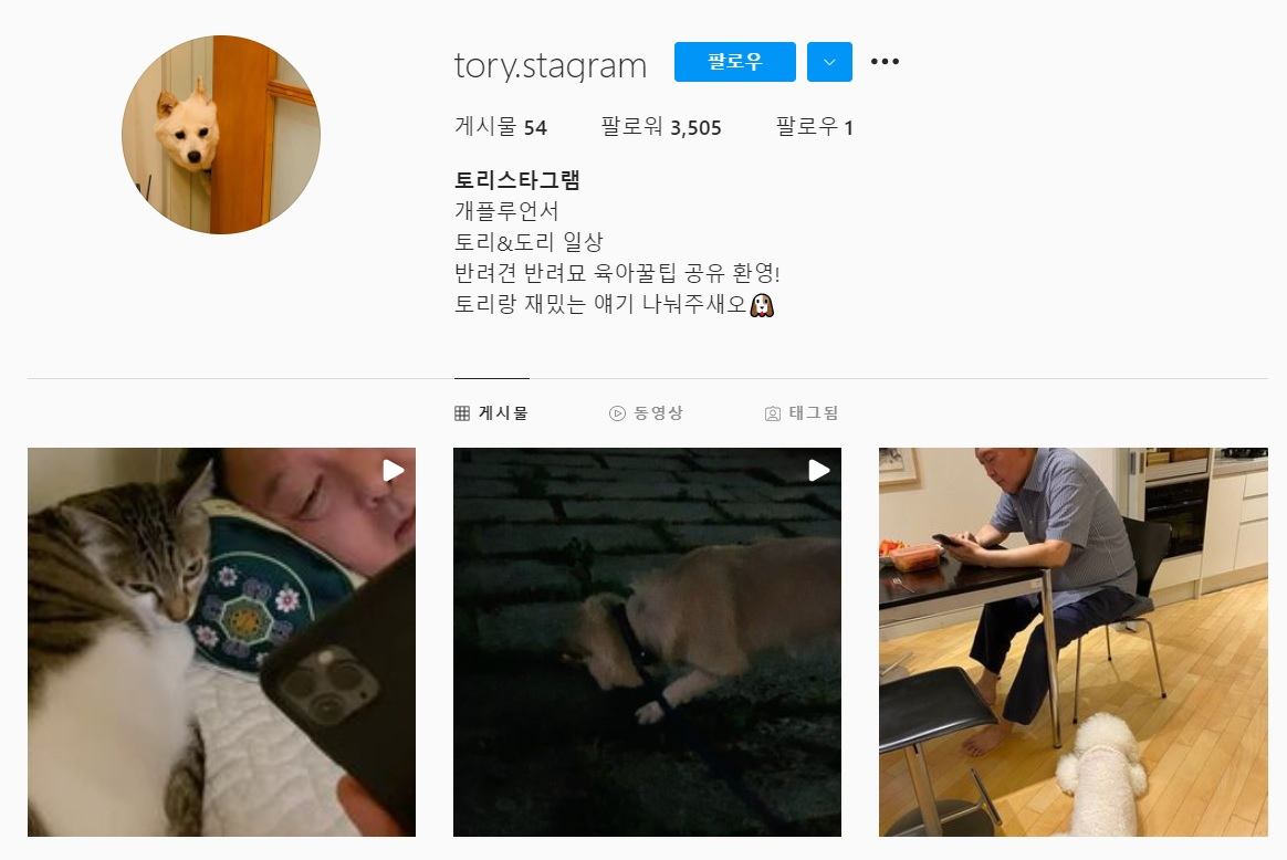 윤석열 전 검찰총장 측의 ‘토리스타그램’ 인스타그램 계정 일부 캡처.