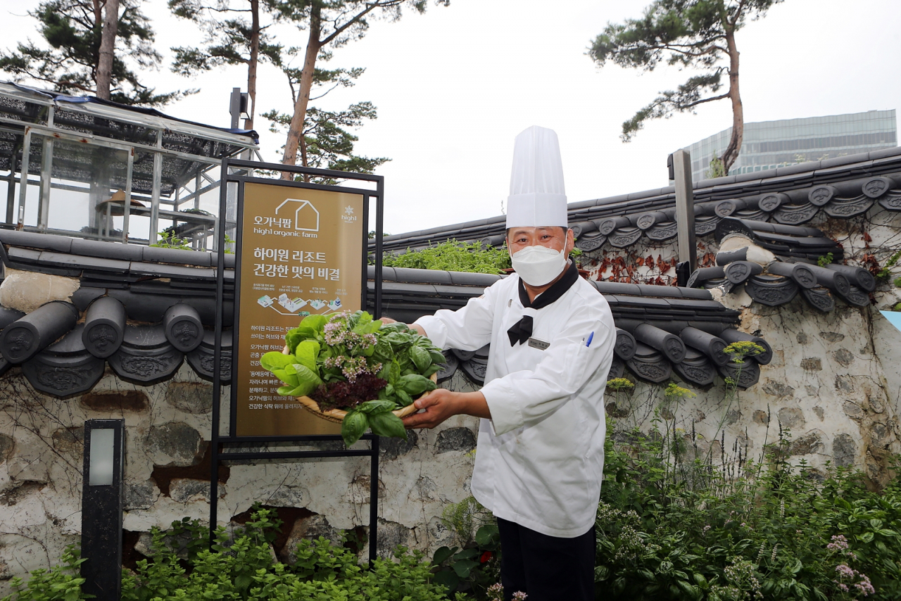 손수 재배한 청정식재료를 자랑하는 하이원 셰프