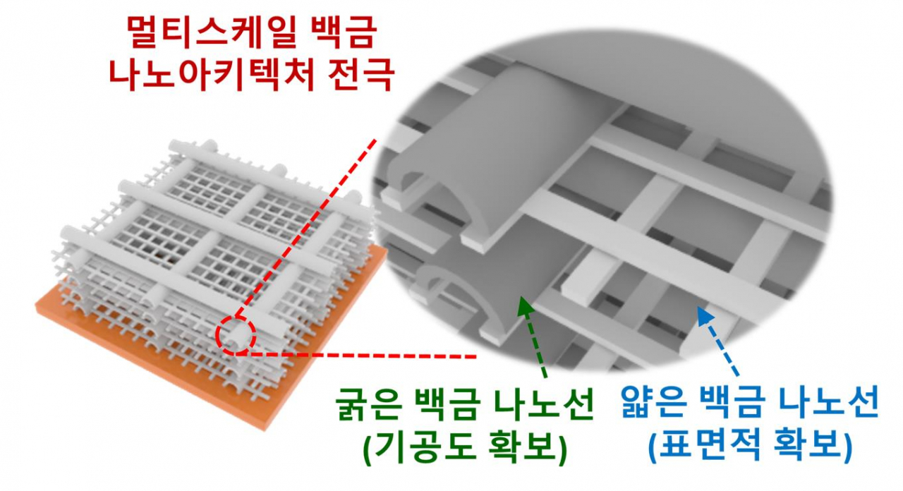철골구조와 비슷한 형태의 멀티스케일 백금 나노 아키텍처 전극 모식도. [KIST 제공]