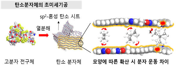 탄소 분자체의 초미세 기공 모식도.[KAIST 제공]