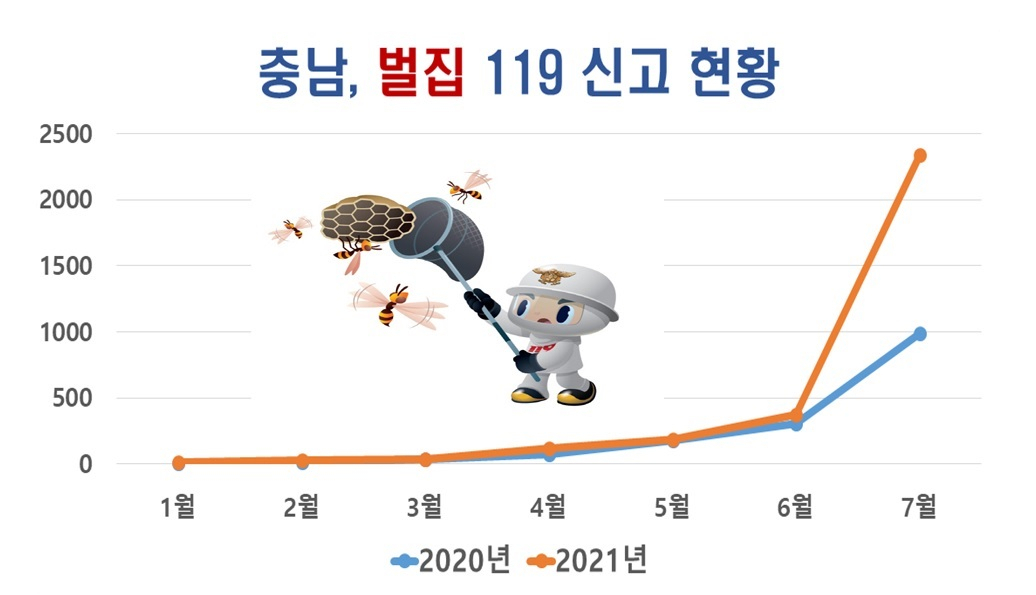 충남 벌집 119 신고 현황(그래픽)