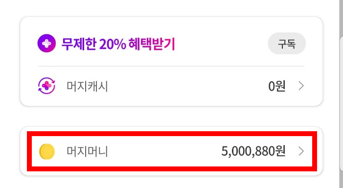 소비자 A씨 가족은 500만원 상당의 머지머니를 구매했다. [독자 제공]