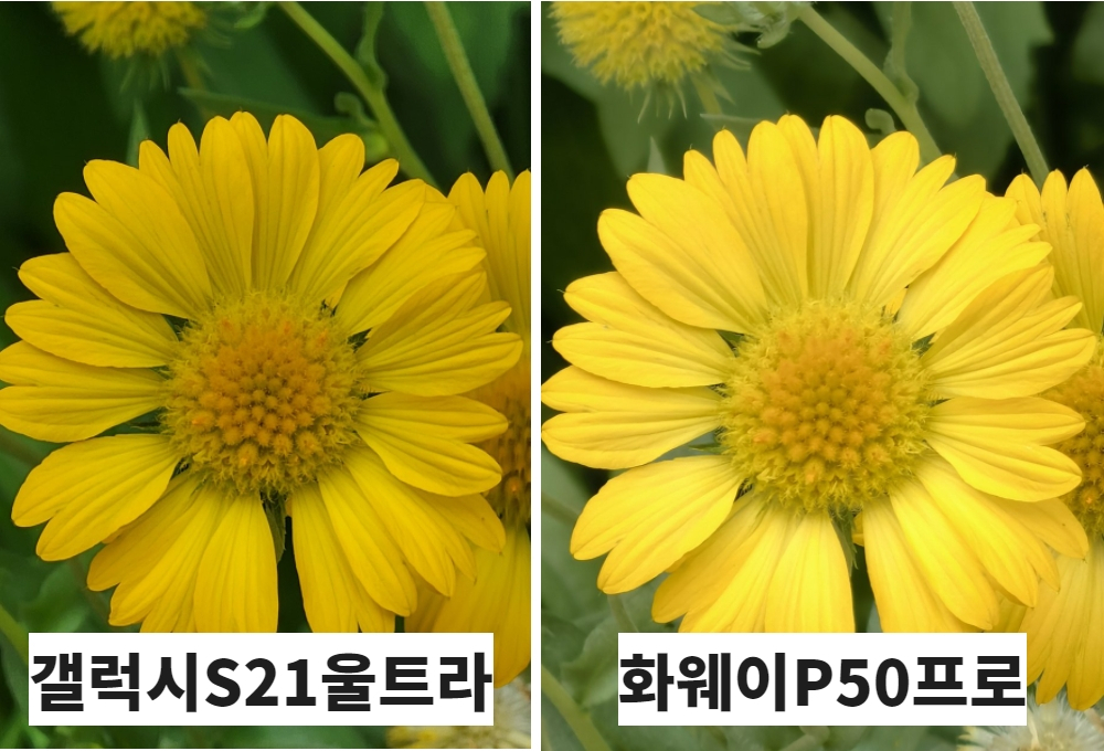 삼성전자 ‘갤럭시S21울트라’ 제품과 화웨이 ‘P50 프로’ 제품으로 10배 확대 촬영한 사진. [트위터 @UniverseIce 사진 재구성]