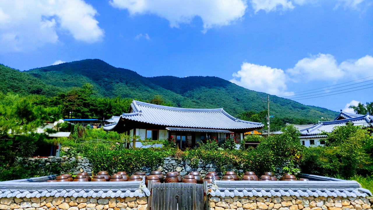 소쇄원 죽녹원 가사문학..담양의 뱀부(竹) 인문학 [함영훈의 멋·맛·쉼]