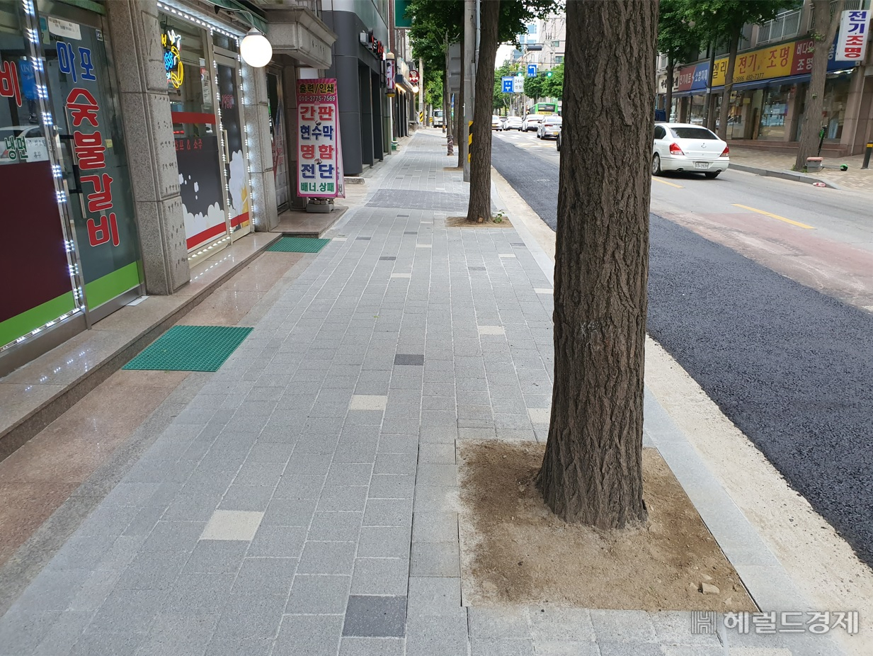 명일로 변에 노후한 가로수 보호틀을 없앤 모습. [강동구 제공]
