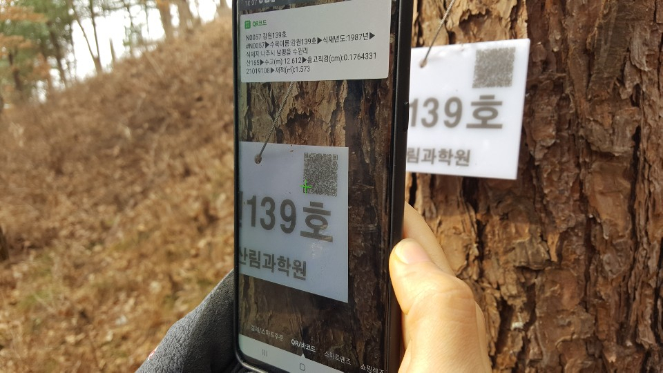 QR코드를 이용한 시험림 조사 사진