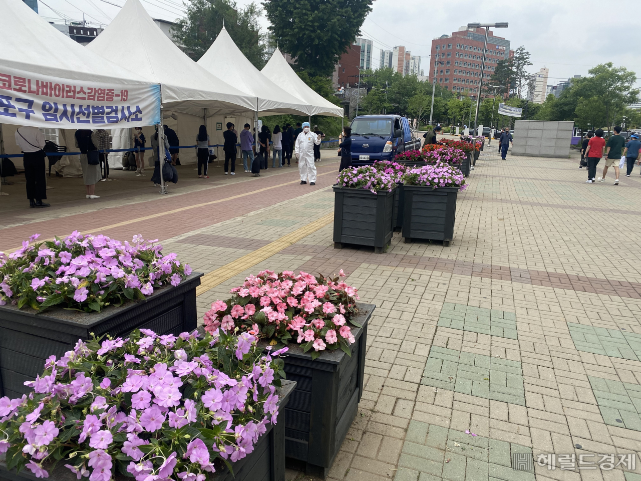마포구 서강대역 선별진료소 앞 대기장소에 화분을 모아놓은 모습. [서울시 제공]