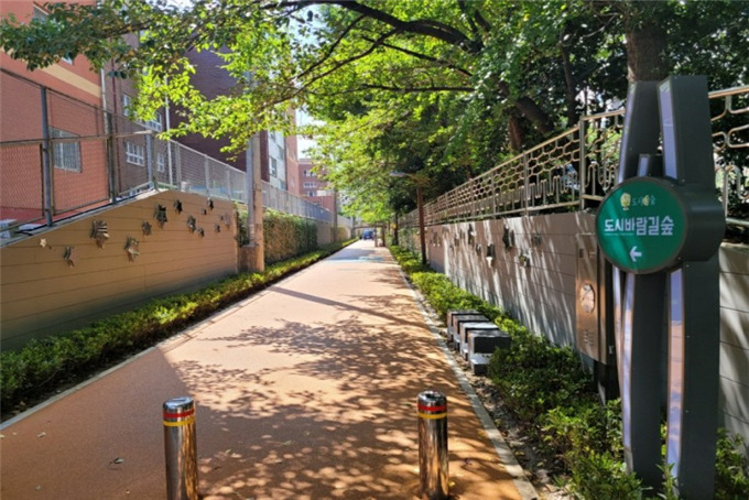 사하구 하남초등학교·하남중학교 일원 통학로에 조성된 도시바람길숲 [부산시 제공]