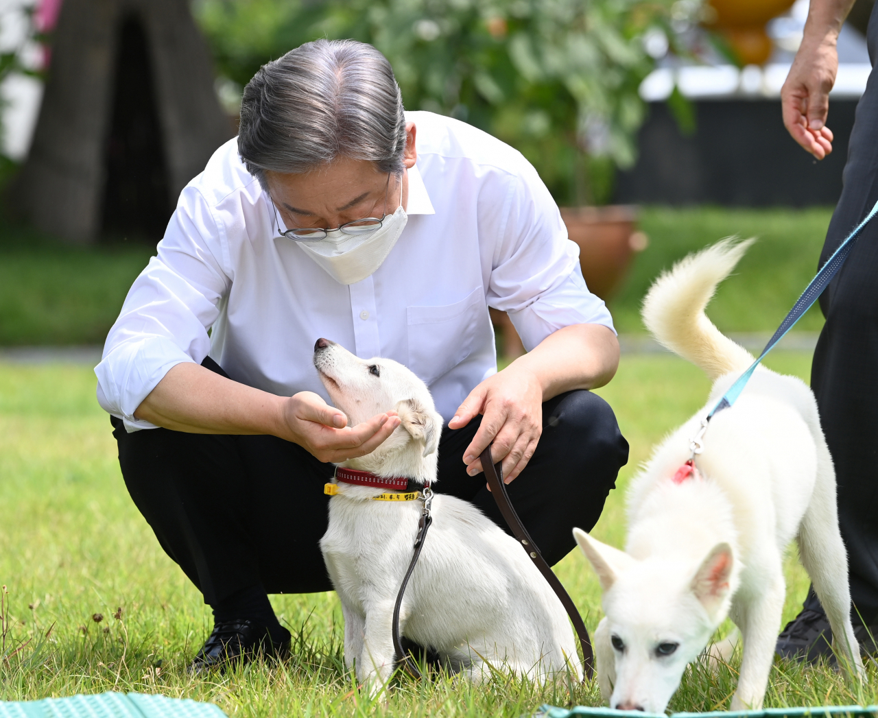 더불어민주당 대선 경선 후보인 이재명 경기도지사가 20일 경기도 고양시 덕양구 농업기술센터 내 잔디밭에서 열린 동물복지 공약 발표 기자간담회에서 동물보호센터 보호견 ‘오리’와 시간을 보내고 있다. [연합]