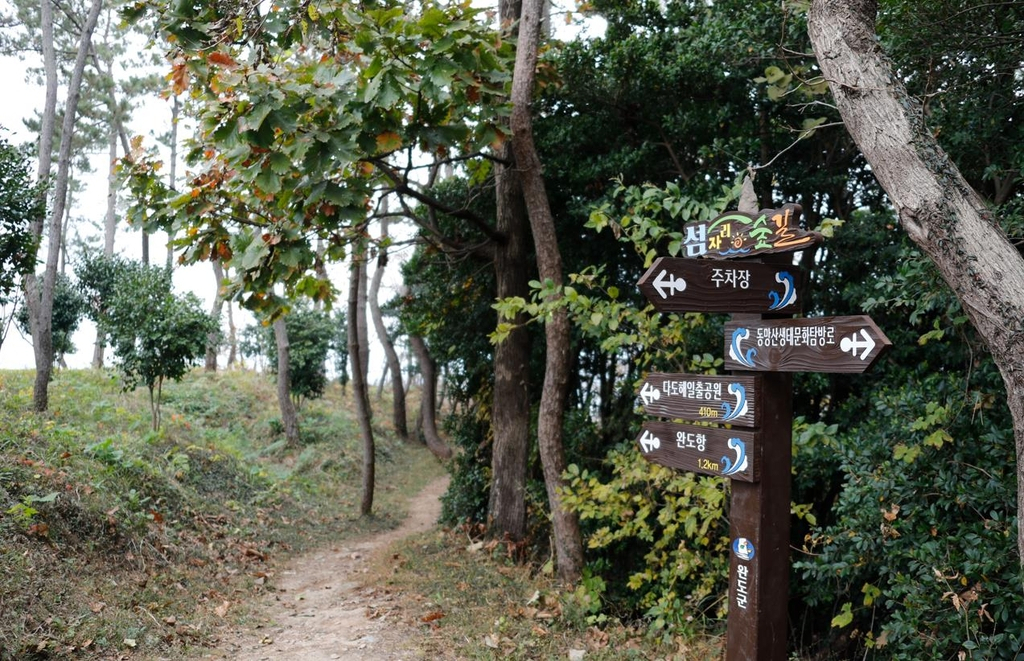 숲길 트레킹 코스