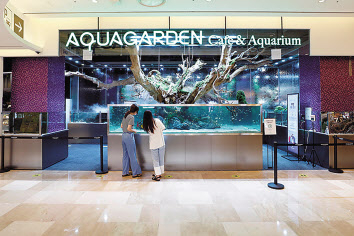 롯데월드몰이 오픈 7주년을 맞아 대대적인 리뉴얼을 진행했다. 사진은 지난 19일 문을 연 롯데월드몰 ‘아쿠아가든’. [롯데물산 제공]