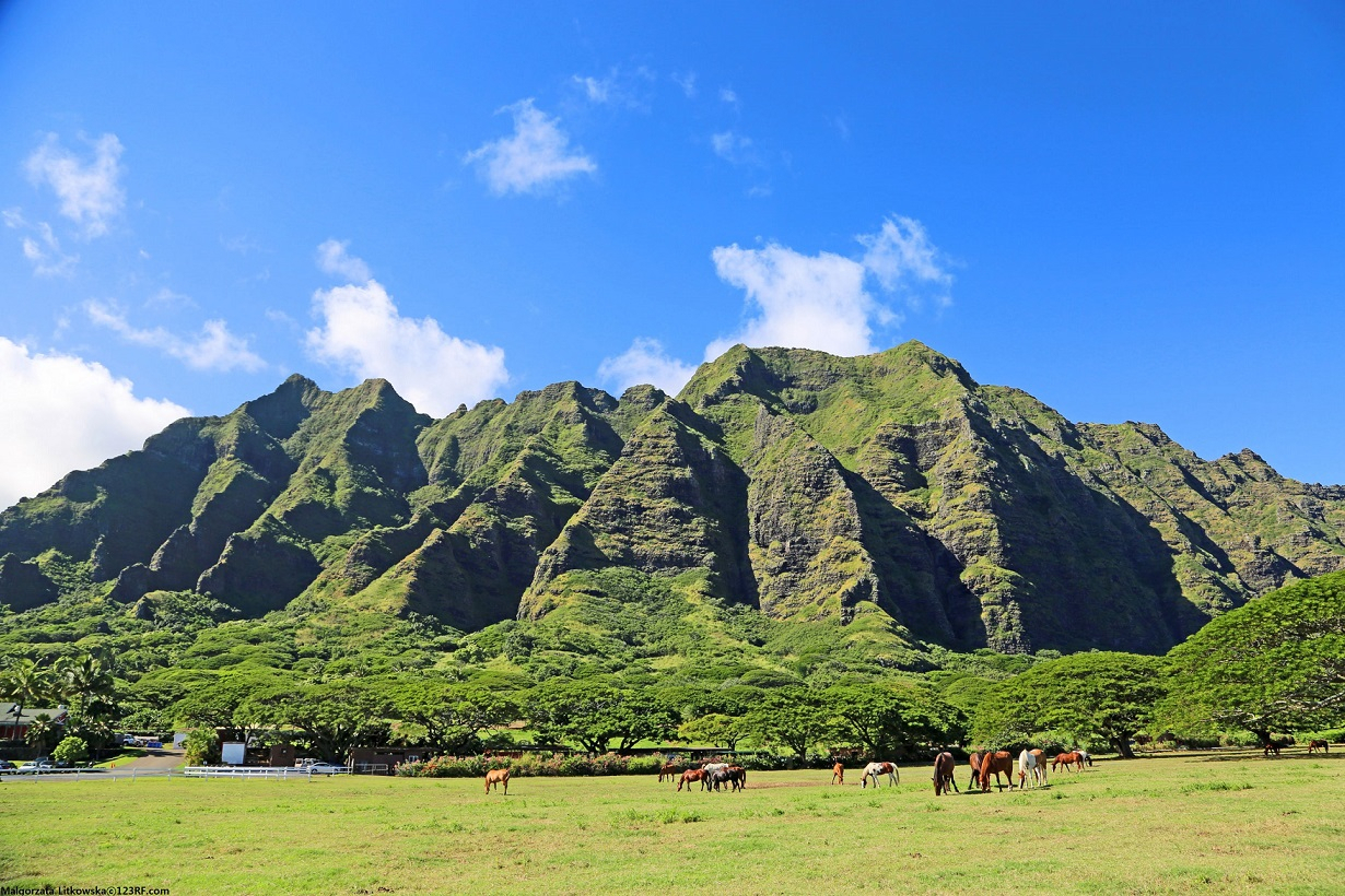 하와이 쿠알로아 랜치(Kualoa Ranch)