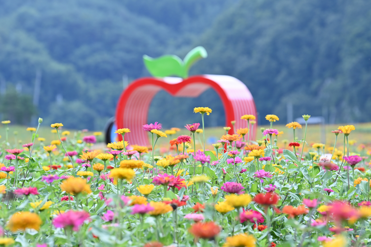 산소카페 청송정원 전경.[청송군 제공]