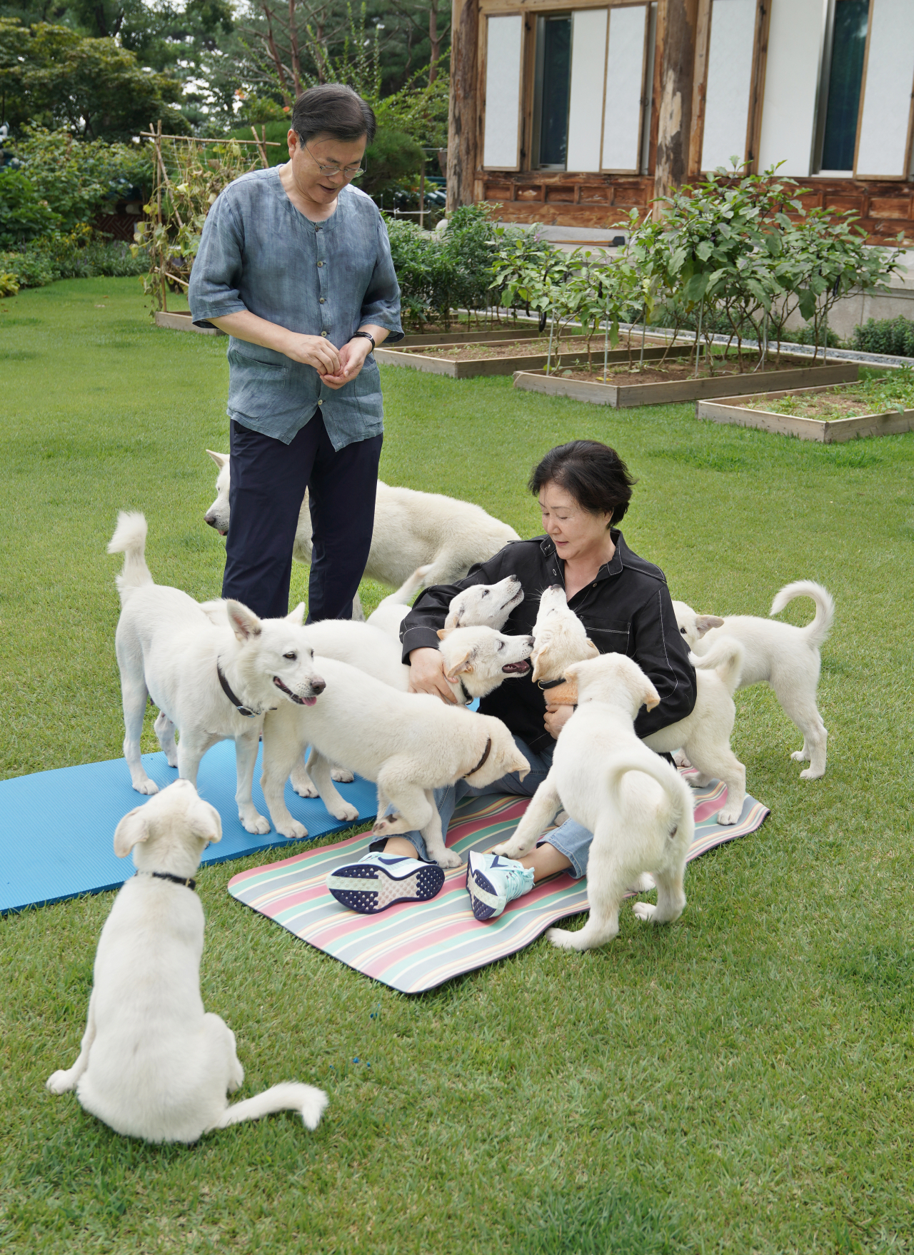 문재인 대통령은 1일 김정은 북한 국무위원장이 선물한 풍산개 '곰이'가 낳은 새끼 7마리의 이름을 공개하고 지자체에 분양한다고 밝혔다. [연합]