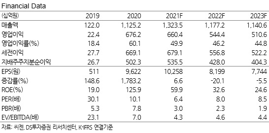 [DS투자증권 제공]