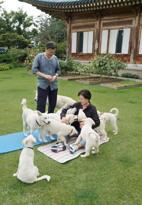 문재인 대통령과 문재인 대통령과 김정숙 여사가 지난달 29일 청와대 관저 앞 마당에서 풍산개들과 시간을 보내고 있다. [문재인 대통령 페이스북]