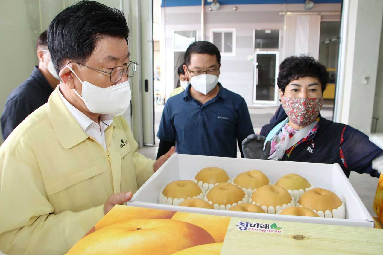 나주배 선과장 방문한 강인규시장