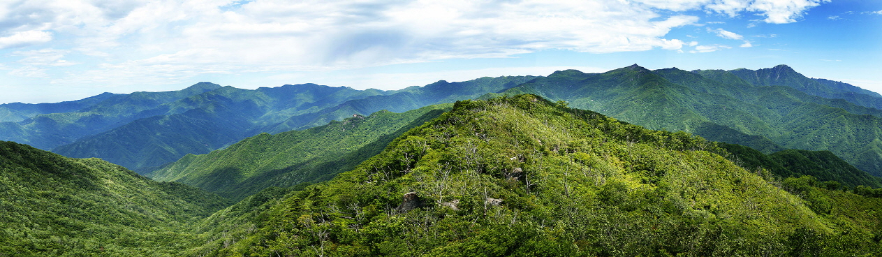 지리산