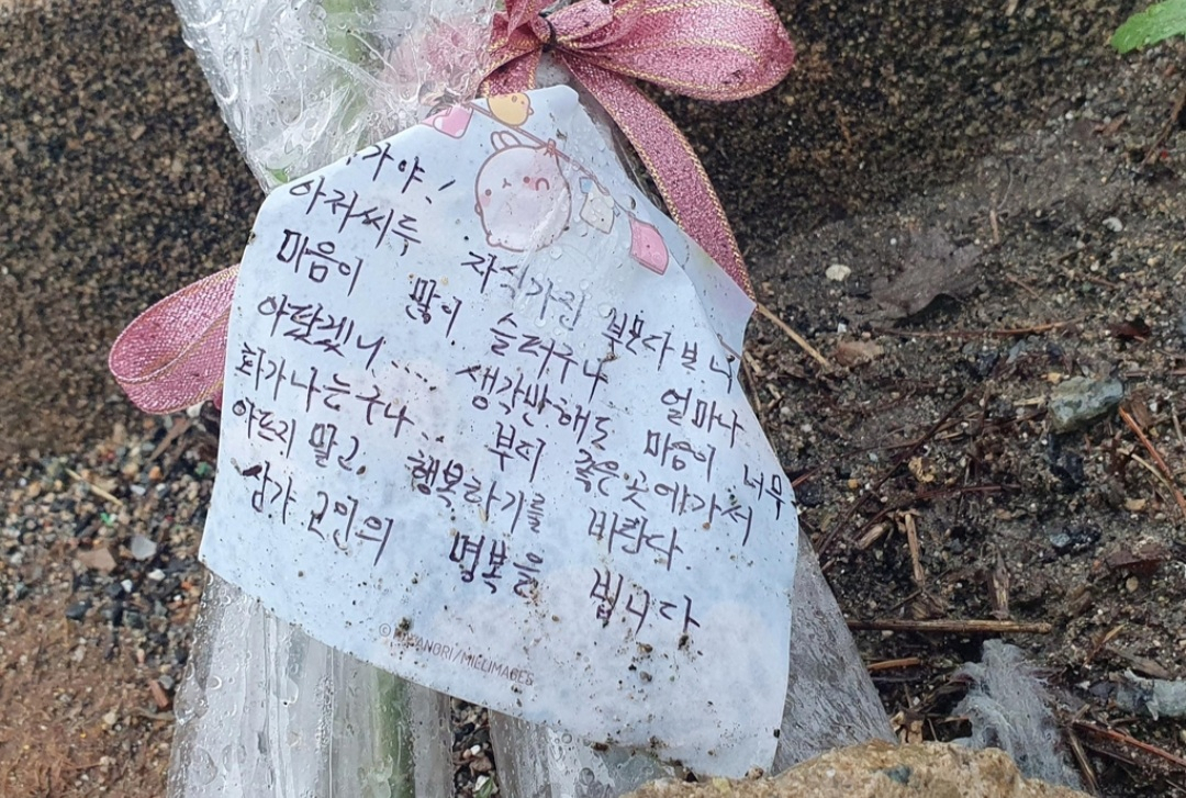 경북 경주 동천동 교차로 사고현장에 놓인 한 시민의 추모글. [연합]