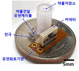 약물 전달 기능을 갖춘 마이크로니들 전극 어레이로 구성된 3차원 다기능 유연 뇌 인터페이스.[DGIST 제공]