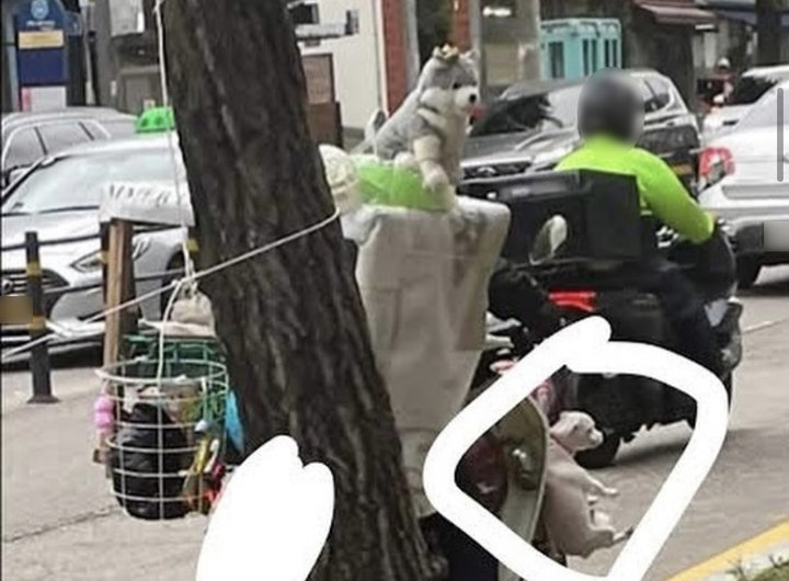 케어 SNS