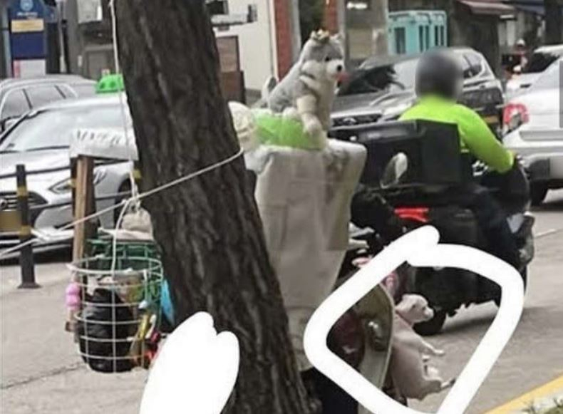 케어 SNS 캡처