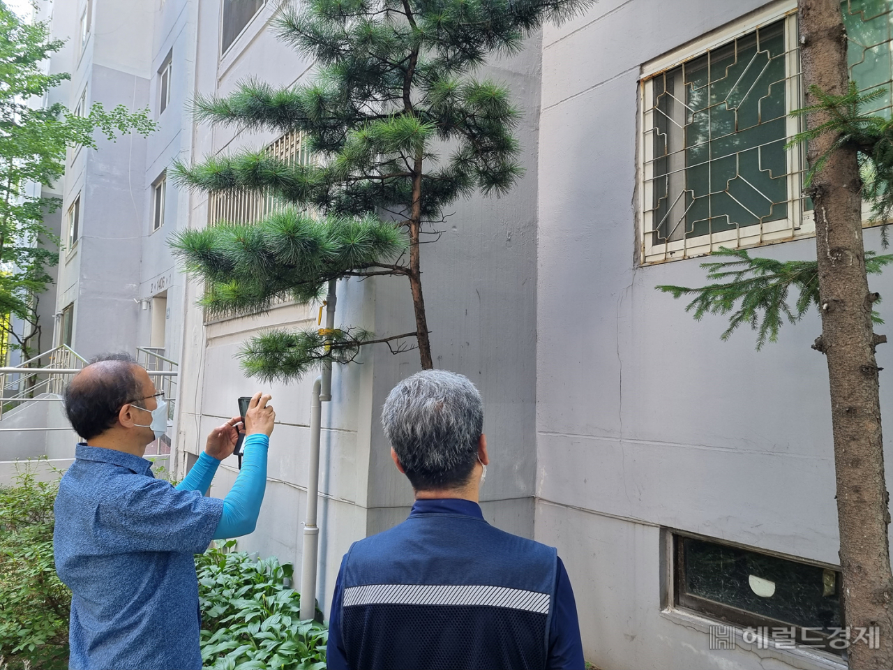 민관합동점검반이 노후 건물의 외벽을 살펴보고 있다. [양천구 제공]