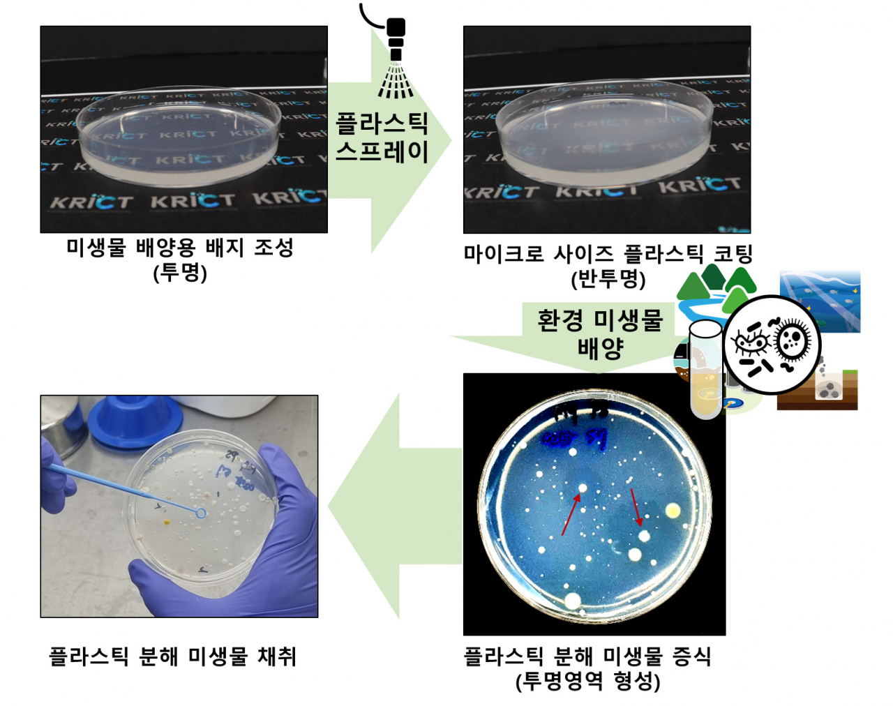 “플라스틱 먹어치우는 미생물 있다고?”…골칫덩어리 플라스틱 쓰레기문제 해결