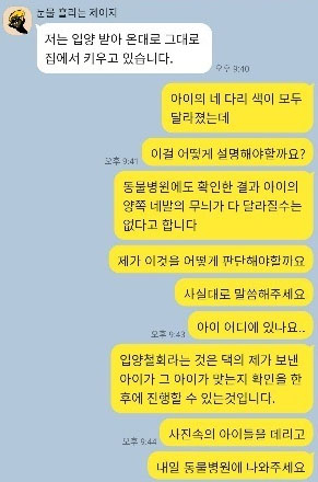 연예인 A씨와 유기묘를 입양보낸 누리꾼의 대화록. [온라인 커뮤니티 캡처]