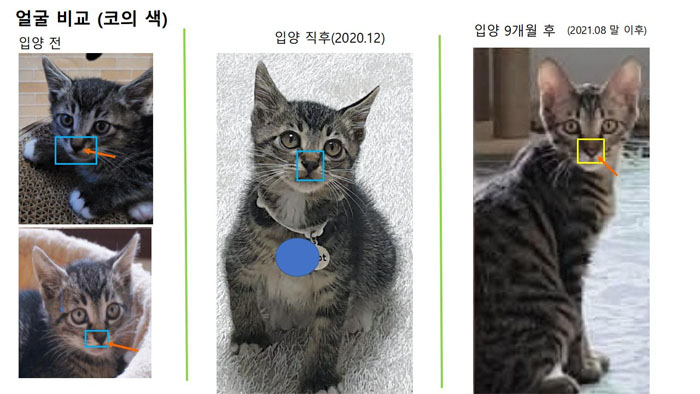 [온라인 커뮤니티 캡처]